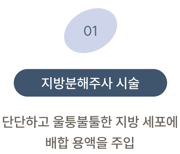 지방 분해 주사 시술원리 1