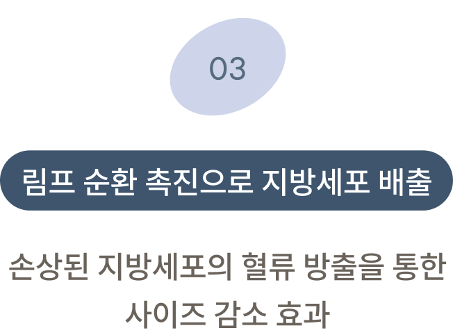 지방 분해 주사 시술원리 3
